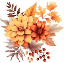 Beautiful Flowers Colourful