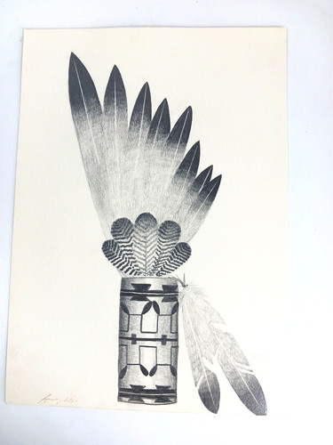 Native american feathers - native,
