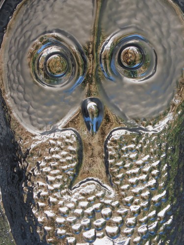 Owl kosta boda large - large, 6.5"