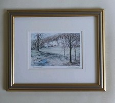Framed Signed Print Brantwood Lake Coniston By Colin Williamson H27 W32cm VGC