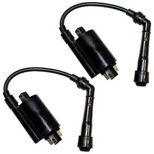 Set of 2 Ignition Coils for