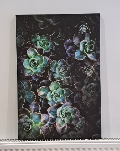 Print stretched canvas - print, 30