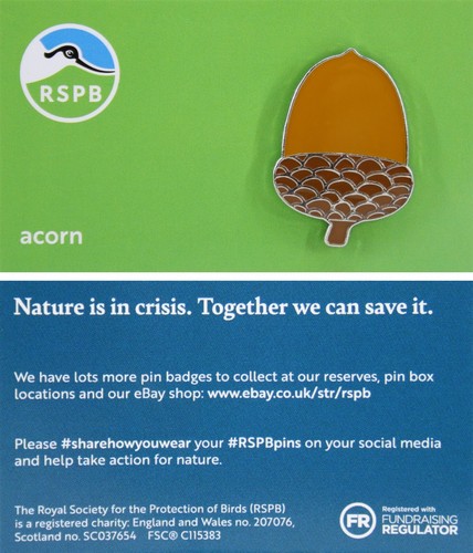 Rspb pin badge - pin,