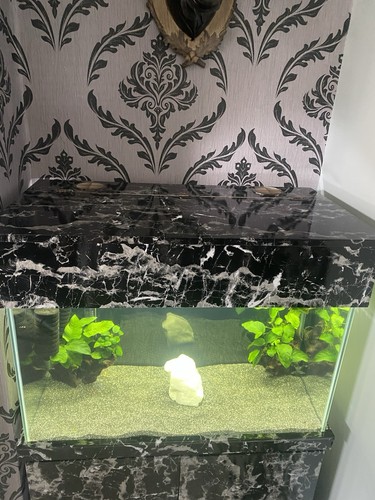Fish tank and cabinet