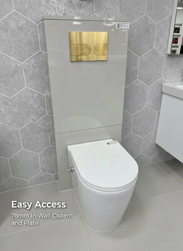 Bidet toilet back to - toilet,