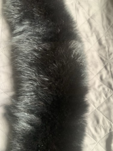 Fox fur collar - fox,