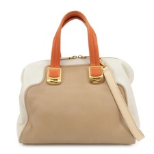 FENDI Cameleon Leather 2Way