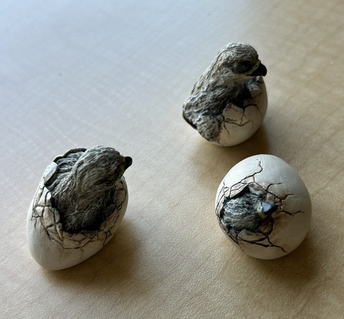Set birds hatching - 3,