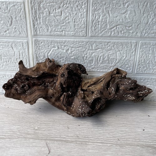 Bogwood driftwood fish tank - fish,
