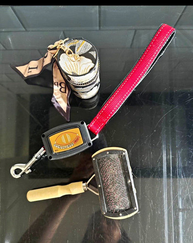 Flexi retractable lead - retractable,