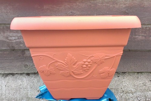 Vineyard terracotta plastic - vineyard,