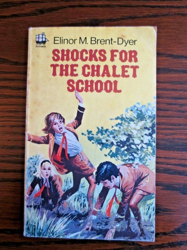 Shocks for the chalet - shocks,