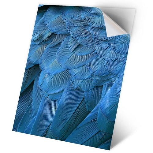 Vinyl sticker blue - a2,