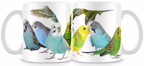 Budgerigar mug 11oz budgie - budgerigar,