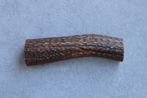 Real red deer antler - real,