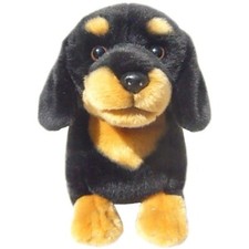 12" Dachshund teddy DACHSHUNDS