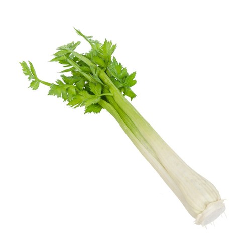 Artificial celery joined - celery, 8