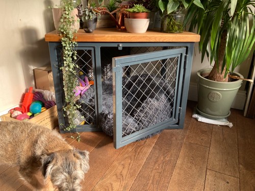 Bespoke dog cattery - bespoke, crates