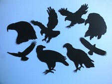 9 SCOTTISH FARM ANIMALS BIRDS  BUDGIE CANARY EAGLE SALMON 160gsm cardstock