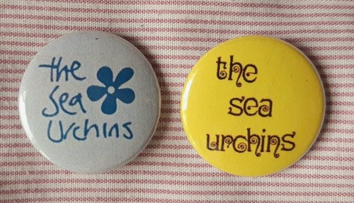 The sea urchins - urchins, (sarah