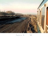 Vintage Photograph -