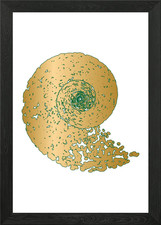 Golden Nautilus Framed Wall