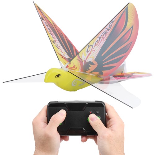 Flying bird realistic - flying,