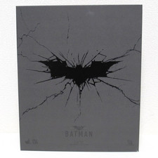 Hot Toys DX12 Batman The Dark