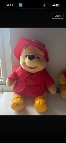 Winney pooh rain coat - pooh,