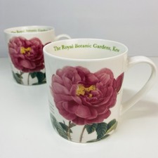 Royal Botanic Gardens Kew Pink