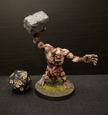  Dungeons And Dragons Zombie