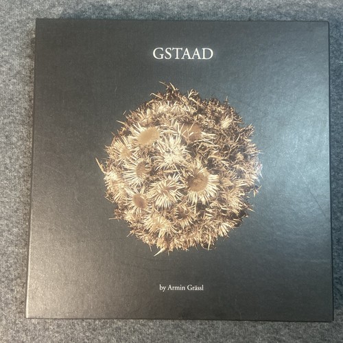 Gstaad armin grassl 2000 - -,