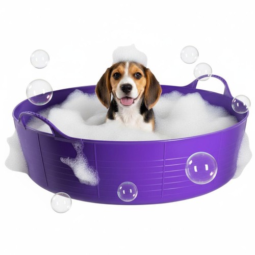 Purple dog bath - dog, bath,