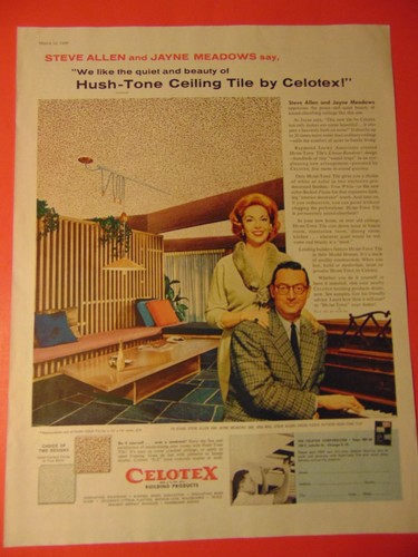 1958 celotex ceiling - 1958,