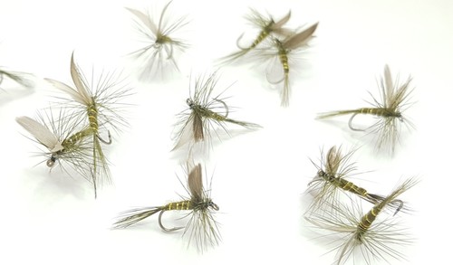 Dark olive classic winged - olive,