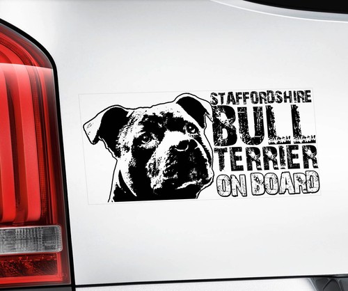 Staffordshire bull terrier car - bull,