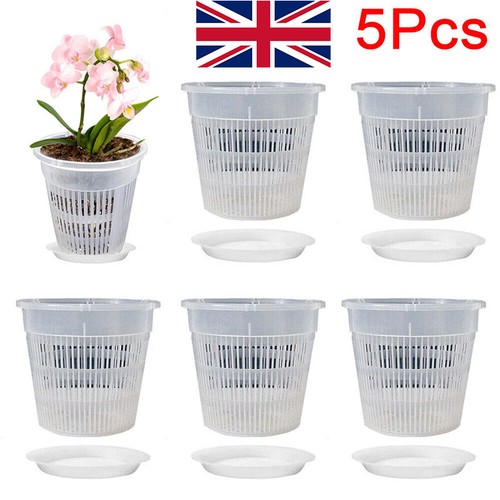 5pcs clear orchid pots - clear, with