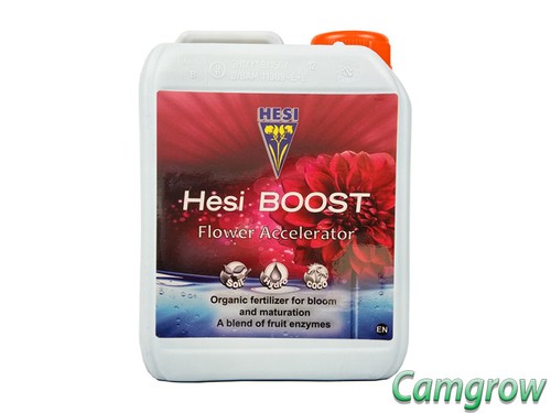 Hesi boost plant flowering - plant,
