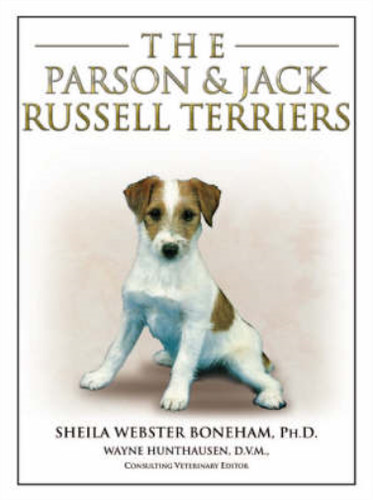 The parson jack russell - the, &