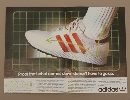 Adidas oregon training - oregon,