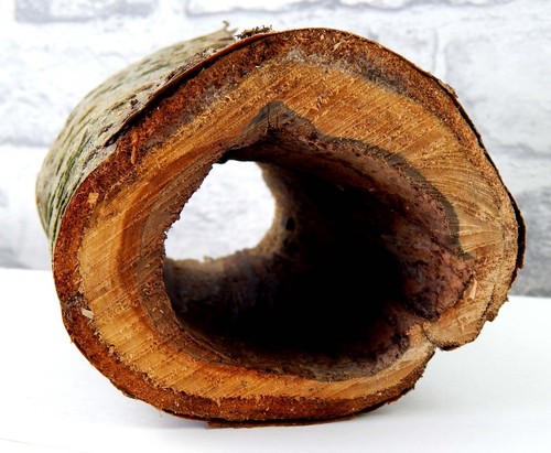 Wooden log hole - wooden,