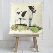 Jack russell terrier dog - jack,