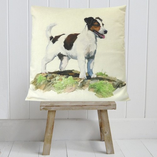 Jack russell terrier dog - jack,