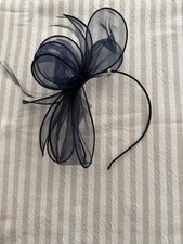 Blue Feather and Mesh