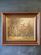 Pheasant oil on Board painting Signed By Artist And Framed