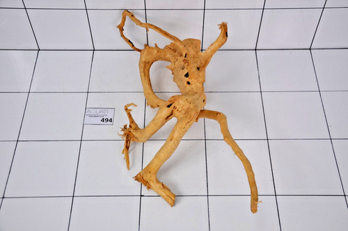 Premium aquarium natural wood - aquarium,