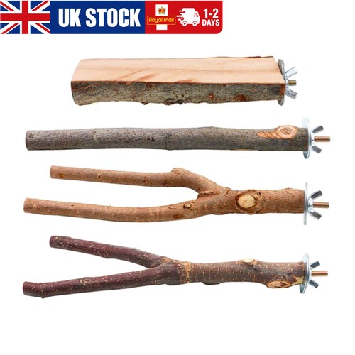 Parrot perch - 4x, platform