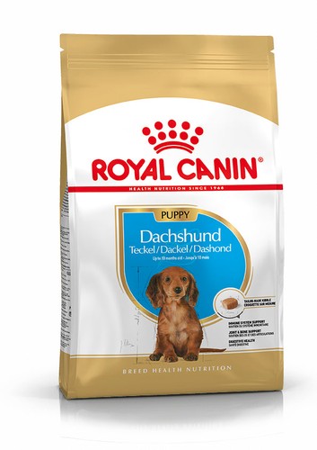 Dachshund puppy dry food - puppy,
