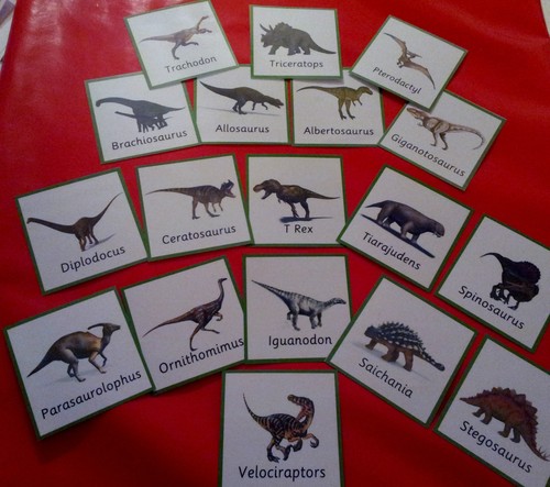 Dinosaurs flash cards - dinosaurs,