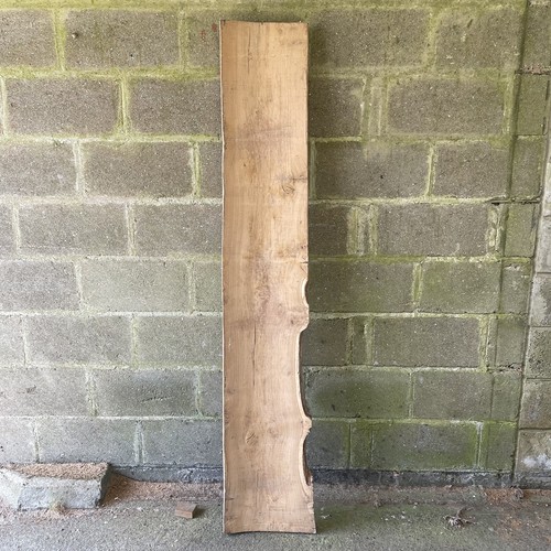 English oak air - oak, dried